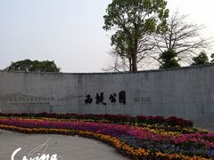 -西堤公园