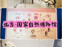 -国家自然博物馆