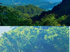 -求水山公园