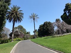 -墨尔本皇家植物园
