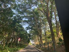 -东莞植物园
