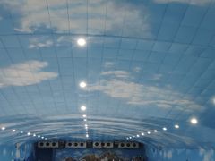 -世界之窗阿尔卑斯冰雪世界