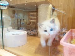 -Pets First伊珊娜洗护·精致美容·家庭式寄养(新会路店)