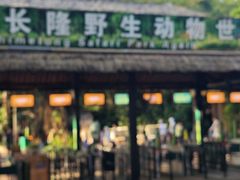 -广州长隆野生动物世界