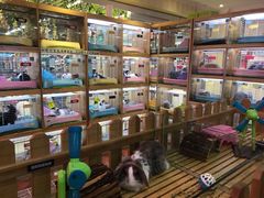 -宠物兔专门店(天丰利市场店)