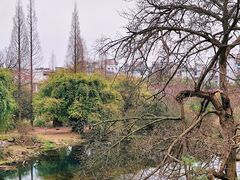 -贵阳市花溪国家城市湿地公园