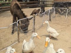 -HERRE·FARM 赫尔露营农场·团建聚会包场