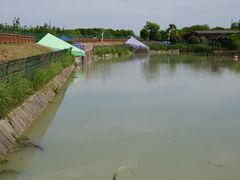 -中国扬子鳄村