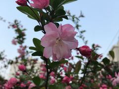 -金杨新村六街坊