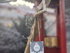 -西安市广仁寺