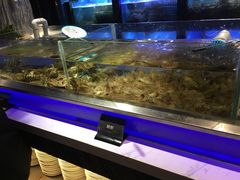 -V-ONE西雅图海鲜自助餐厅(仓山万达广场店)