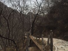 -大岭沟猕猴桃谷风景区