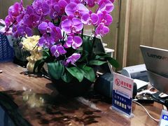 -成都蓝城悦杏温泉美食酒店(宽窄巷子店)