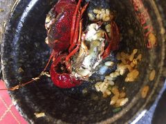 油焖大闸蟹-海岛八号龙虾烧烤田鸡(蓝天路总店)