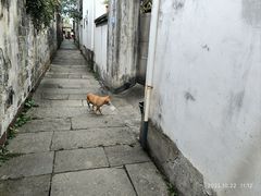 -西溪南古村落景区