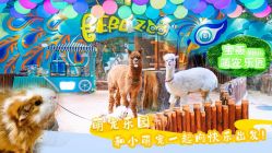 -宝燕乐园(闵行旗舰店)