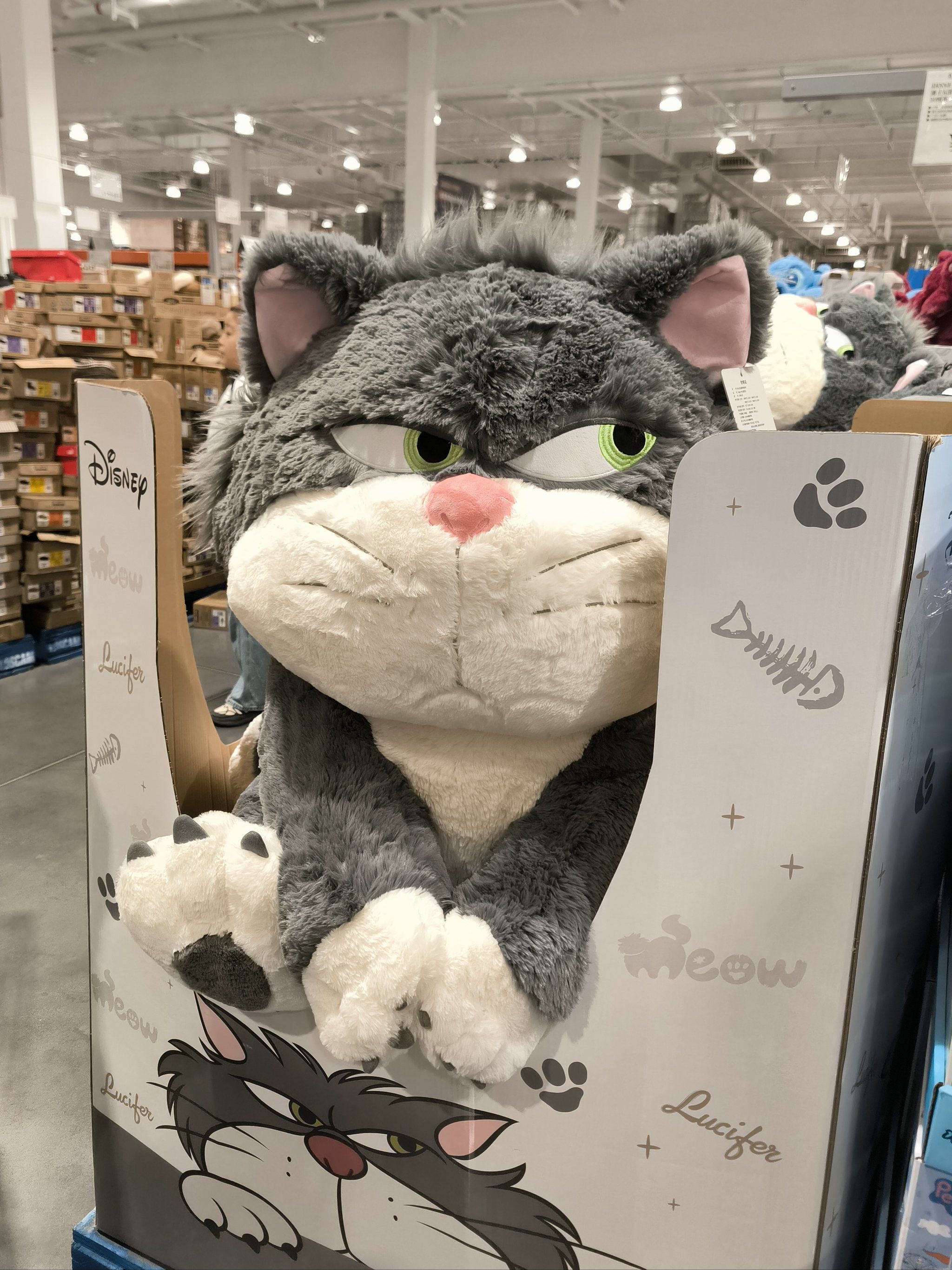 50cm迪士尼玩偶才199啊?