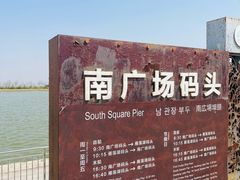 -南大港湿地风景区