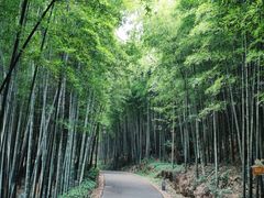 -苏州环秀晓筑养生度假村