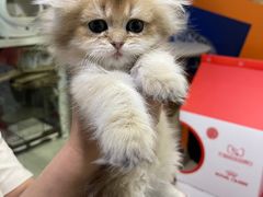 -乐宠宠物店(世纪金源店)