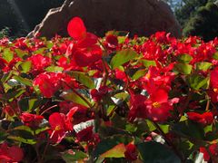 -长白岛森林公园