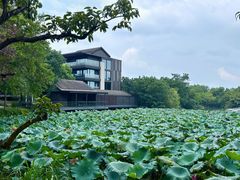 -木守西溪溪隐餐厅