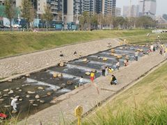 -光明小镇欢乐田园