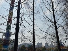 -洋湖国家湿地公园