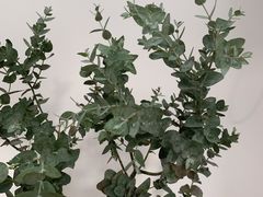 -LuluCake·路鹿蛋糕