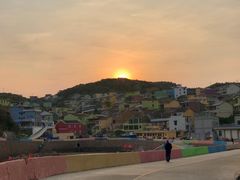 -枸杞岛