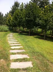 -北京米扬丽格医疗美容·联合丽格鼻整形中心