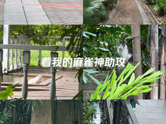 -晓港公园