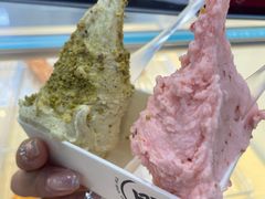 -野人先生现做冰淇淋(西安赛格店)