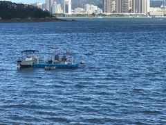 -海沧湾公园
