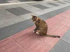 -Jeans Coffee牛仔裤咖啡