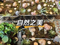 -福照楼汽锅鸡·云南菜(万达广场店)