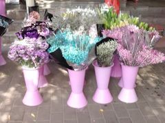 -宝鸡东道花鸟鱼虫市场(吉利花园商场店)