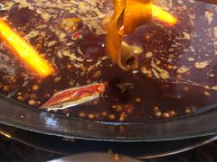 -星鸿社重庆老火锅(燃灯寺分店)