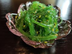 -春草居酒屋·晴子の店