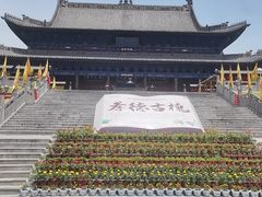 -大槐树寻根祭祖园