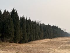 -汉长安城未央宫国家考古遗址公园