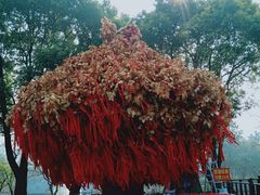 -狼山风景名胜区