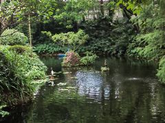 -广州兰圃