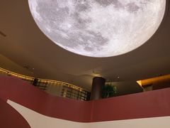 -皇冠明珠鱼翅楼(水上公园店)