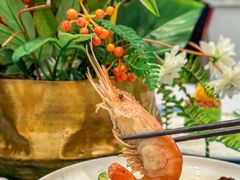 -圆苑(静安寺店)