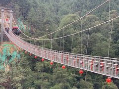 -九龙江国家森林公园