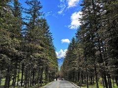 -硗碛藏寨·神木垒景区