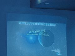 -虚荣精酿酒屋(五羊店)