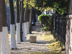 -八大关景区