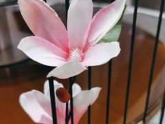 -尚宴(盛世广场·食尚街店)